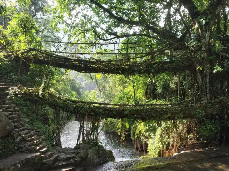Northeast India